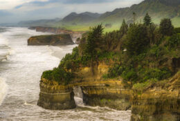 New Zealand 2025 (1 group) (66/66)